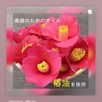 画像242