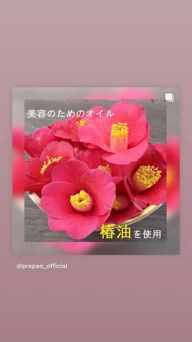 画像242