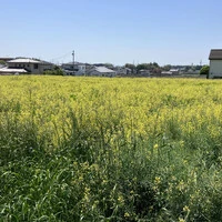 画像328