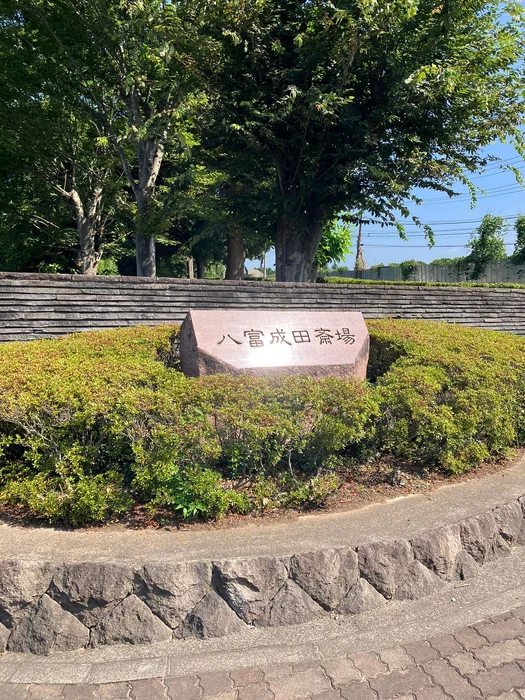 画像434