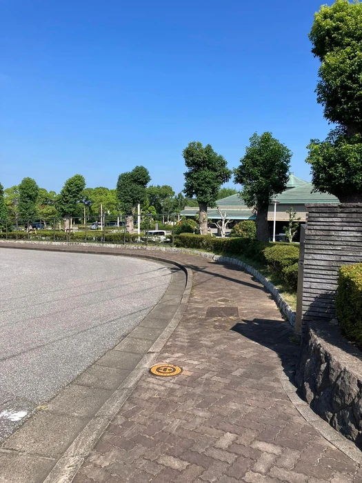 画像435