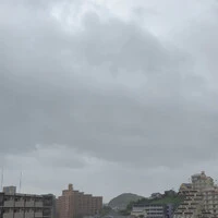 画像501