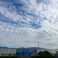 画像658