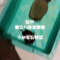 画像836