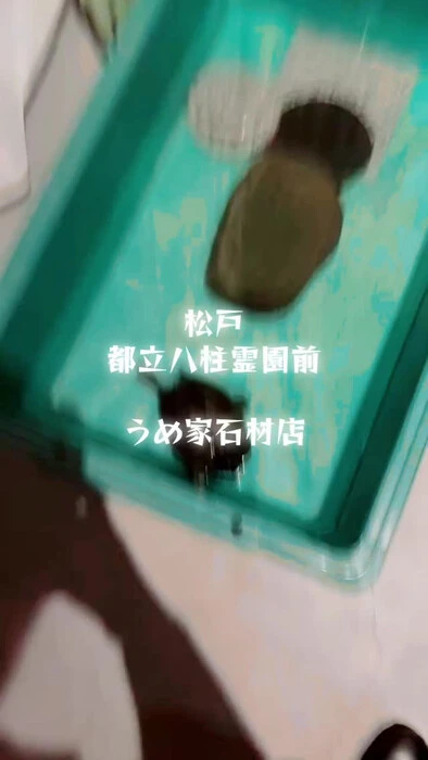 画像836